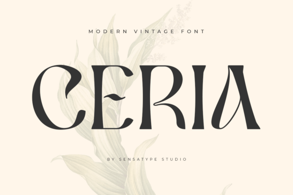Ceria: A Font That Balances Modern Edge with Timeless Grace
