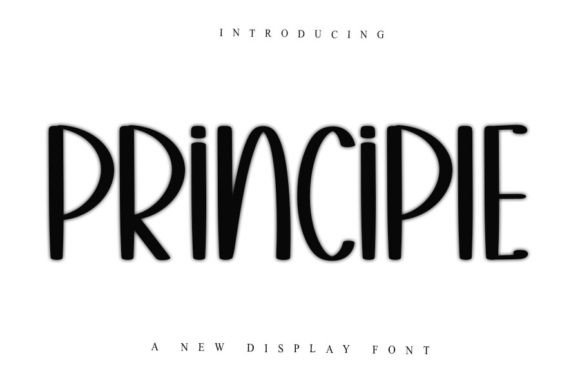 Principle: The Display Font That Blends Elegance with Creative Fun
